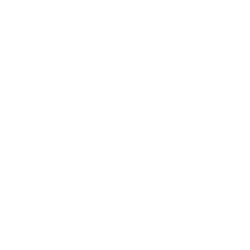 Valorant Logo