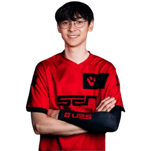 Player image